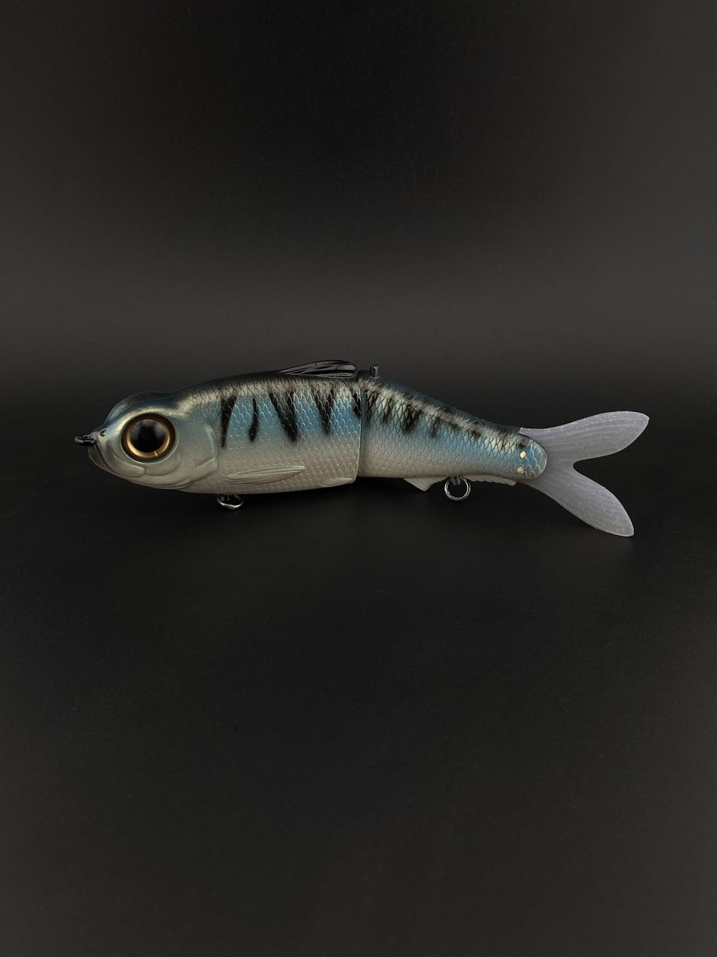 Mackerel Glide
