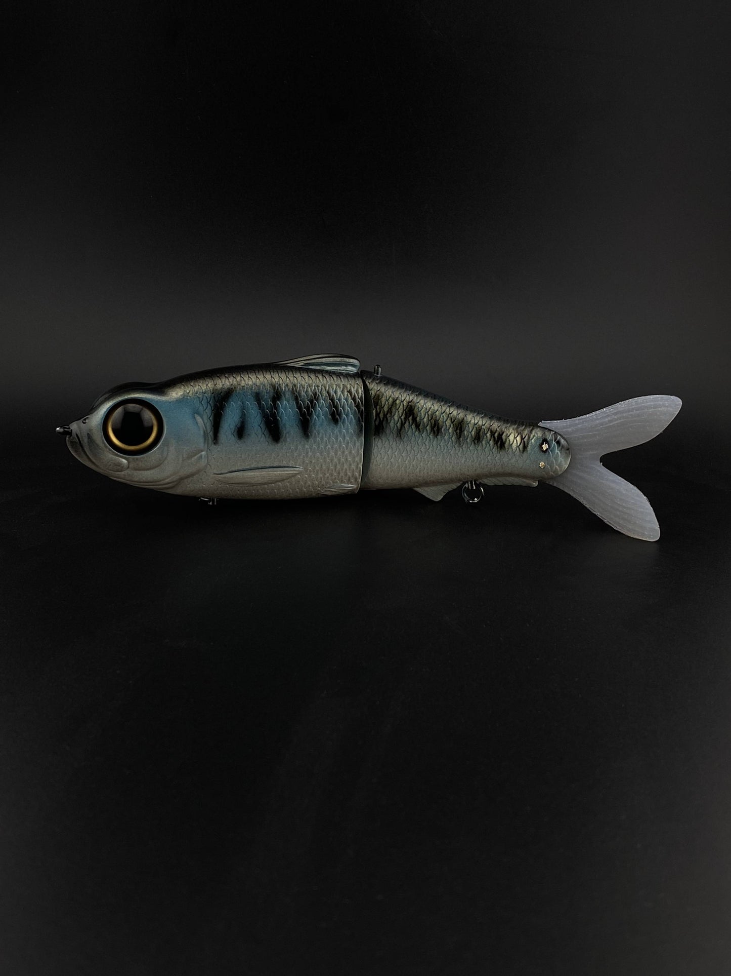 Mackerel Glide
